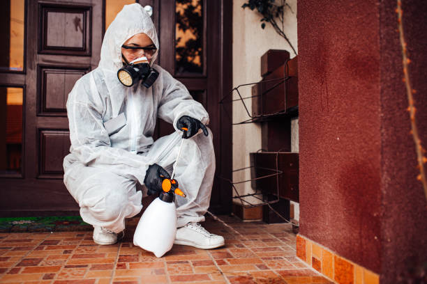 Reliable Ant Control contractor in University Park, TX by Show Me Pest Control